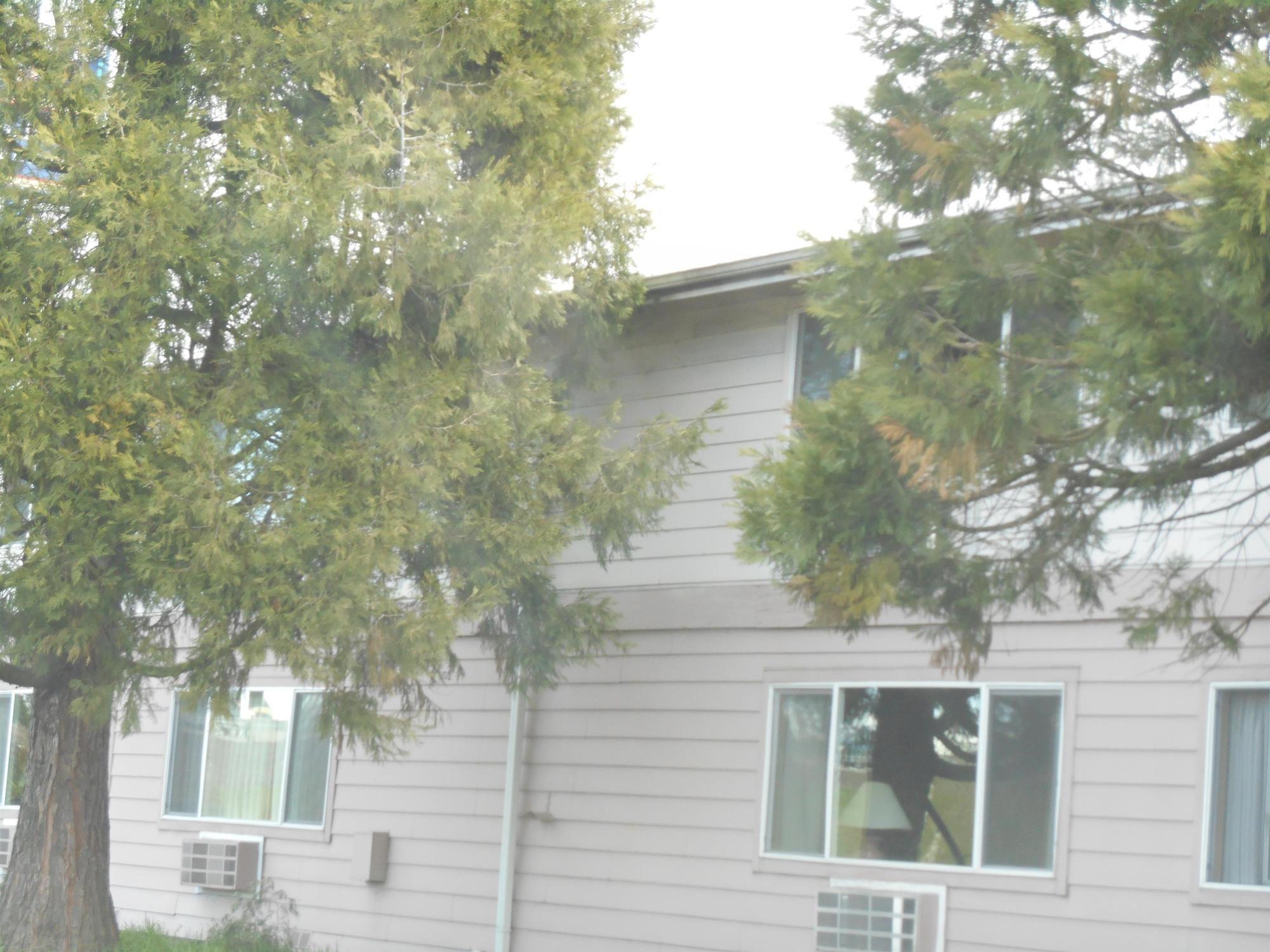 GuestHouse Inn&Suites Eugene/Springfield Exterior foto